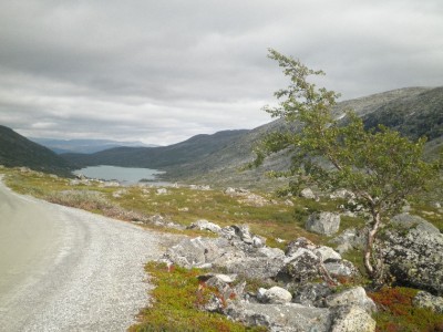 9 Strynsfjellvägen.jpg