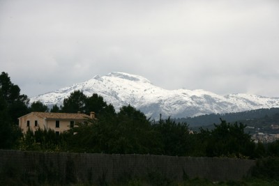 DAS bekommen nur die wenigsten zu sehen auf Mallorca2.jpg