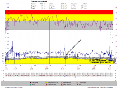 GPS_20100325_Grimma ohne Hügel.png