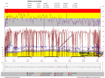 GPS_20100325_Grimma ohne Hügel.png