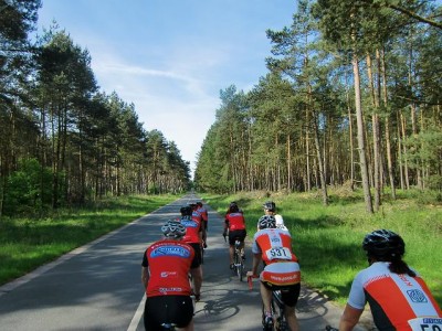 RTF%20Etelsen4floeris pelethon weit weit voraus.jpg