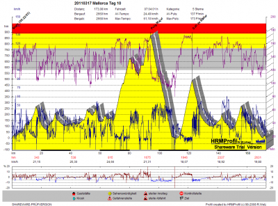 GPS_20110314 Mallorca Tag 10.png