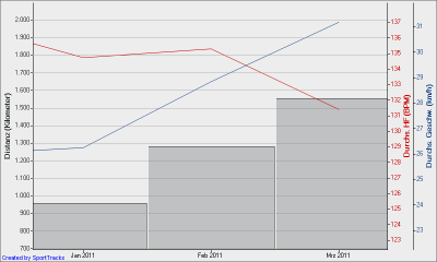 Gesamtdistanz - Monat.png