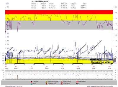 GPS_20110419 Flashmob.png