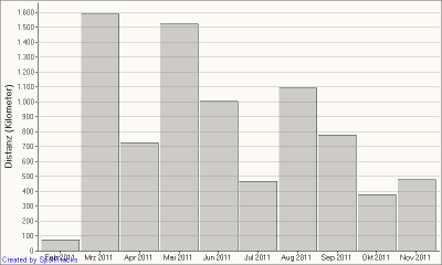 Gesamtdistanz - Monat.png