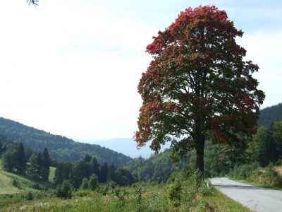 4 Herbststimmung.jpg