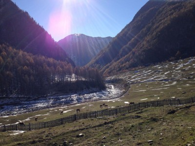 Foto 28.10.14 14 22 15.jpg