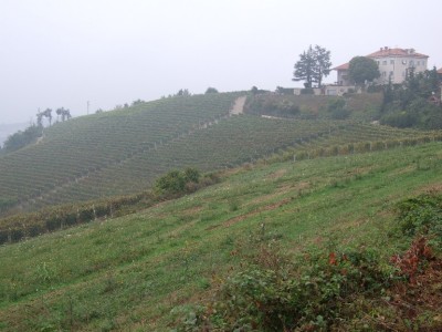 11 Lenghe - viel Weinanbau.jpg